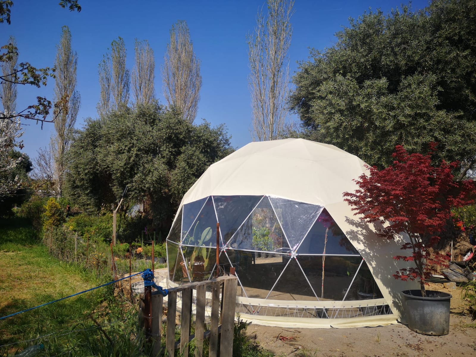 WhatsApp Image 2024-12-12 at 11.35.30